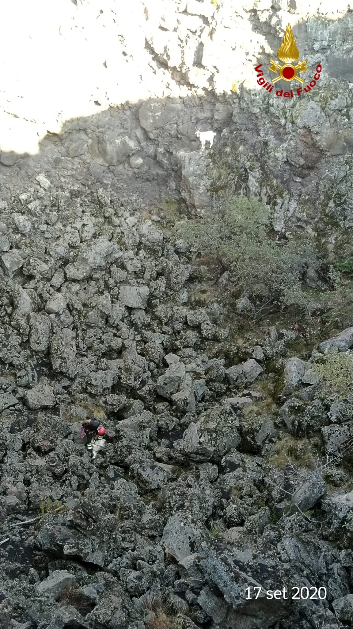 BRONTE: CAPRETTE CADUTE IN UNA VORAGINE SALVATE DAI VIGILI DEL FUOCO