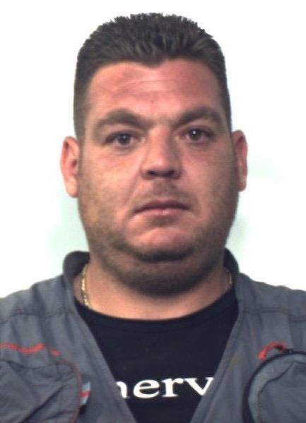 TRASPORTAVANO  BOVINI RUBATI, 4 CALABRESI ARRESTATI A LINGUAGLOSSA