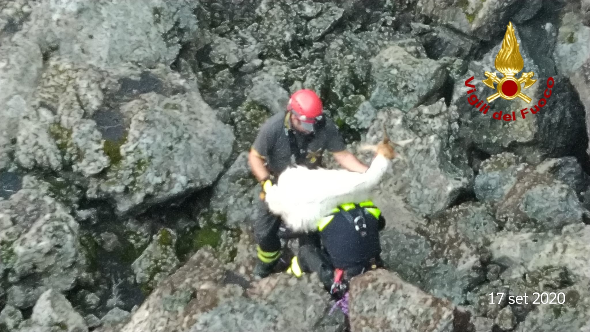 BRONTE: CAPRETTE CADUTE IN UNA VORAGINE SALVATE DAI VIGILI DEL FUOCO