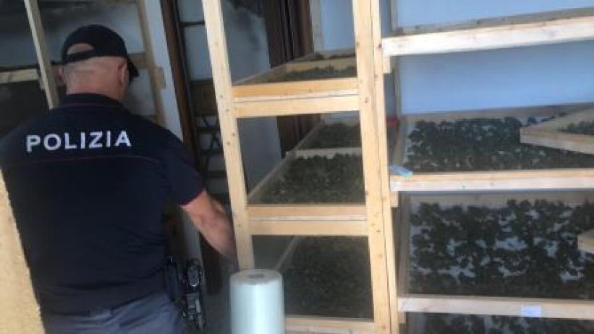 CATANIA, SCOPERTI OTTO DIPENDENTI IN "NERO", ALCUNI PERCEPIVANO IL REDDITO DI CITTADINANZA - 