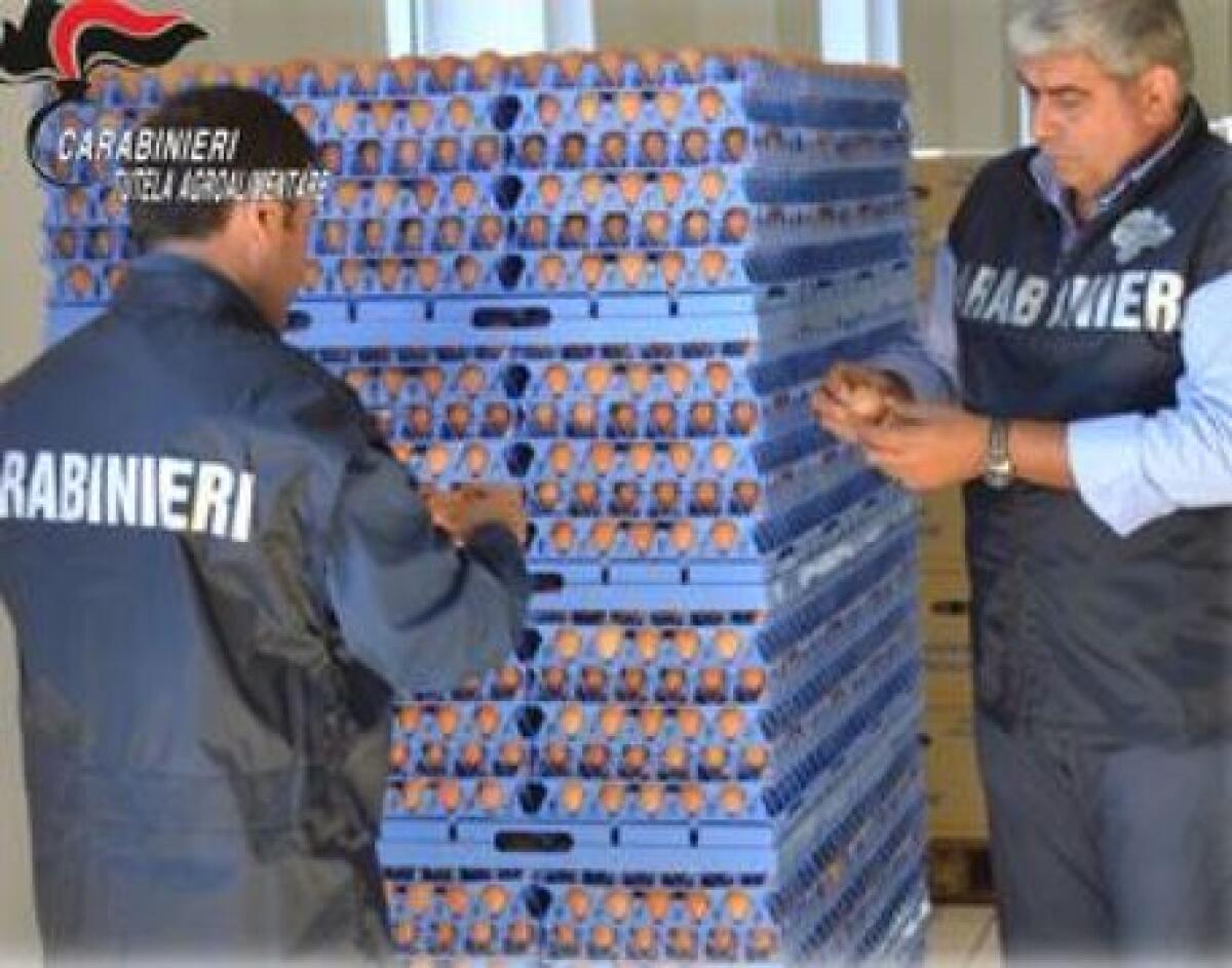 UOVA POSTDATATE, SEQUESTRO NEL RAGUSANO: OPERAZIONE DEL RAC DI MESSINA - 