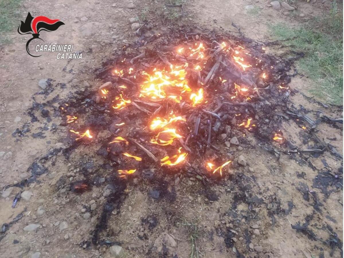 MANIACE (CT). COL FUOCO PENSAVA DI SBARAZZARSI DEI VECCHI TUBI PER IRRIGAZIONE: DENUNCIATA - 