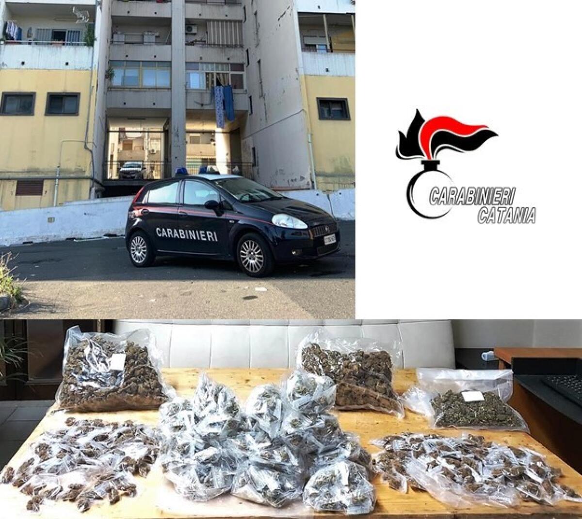 CATANIA.  NASCONDEVA 2,5 KG DI MARIJUANA DENTRO UN TOMBINO - 