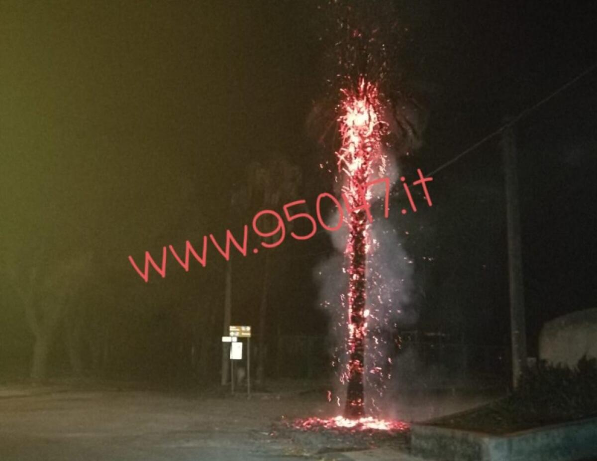 PATERNO' I VANDALI TORNANO A COLPIRE?, INCENDIATA UNA PALMA ALLE SALINELLE - 