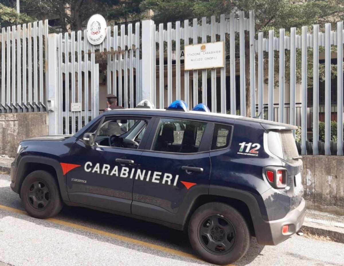 NICOLOSI, DIFENDE LA MAMMA DALLE VIOLENZE DEL PADRE CHE FINISCE AI DOMICILIARI - 