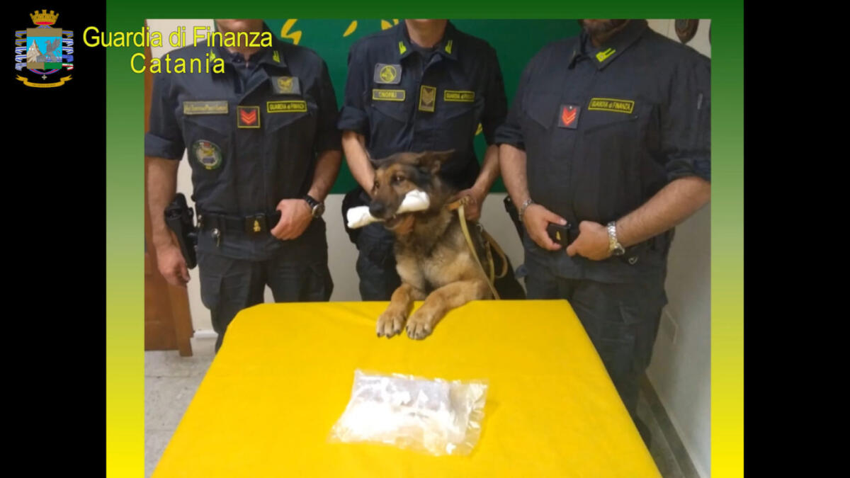 INDIVIDUATO NEL CENTRO DELLA CITTA’ UN APPARTAMENTO FINALIZZATO ALLO SPACCIO DI STUPEFACENTI - 