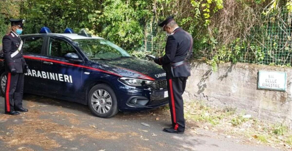 TRECASTAGNI: RUBANO CASTAGNE DA PROPRIETÀ PRIVATA PER RIVENDERLE: ARRESTATI - 