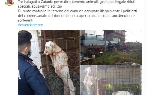 CATANIA. TRE INDAGATI PER MALTRATTAMENTO DI ANIMALI