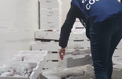 SEQUESTRATO PESCE NON IDONEO AL CONSUMO UMANO IN  UN RISTORANTE A BELPASSO