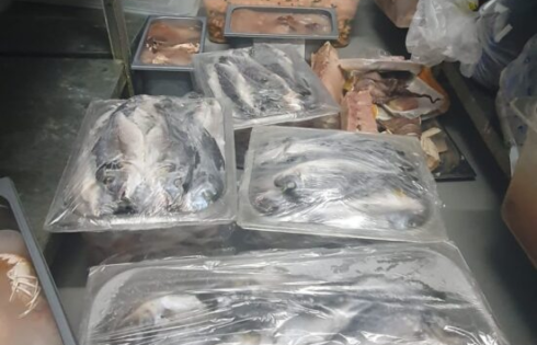 SEQUESTRATO PESCE NON IDONEO AL CONSUMO UMANO IN  UN RISTORANTE A BELPASSO