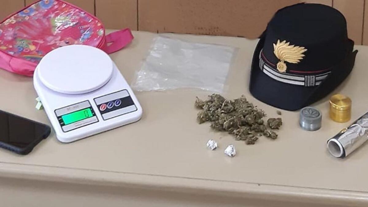 ACI CATENA. NASCONDE “L’ERBA” NEL GIARDINO: ARRESTATO. - 