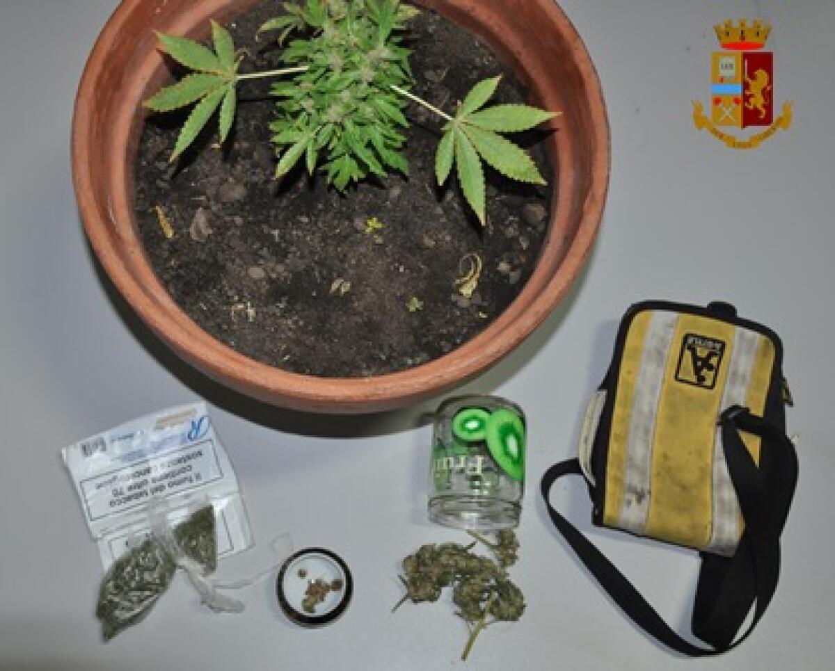 CONTROLLO ANTIDROGA DEL COMMISSARIATO DI ADRANO - 