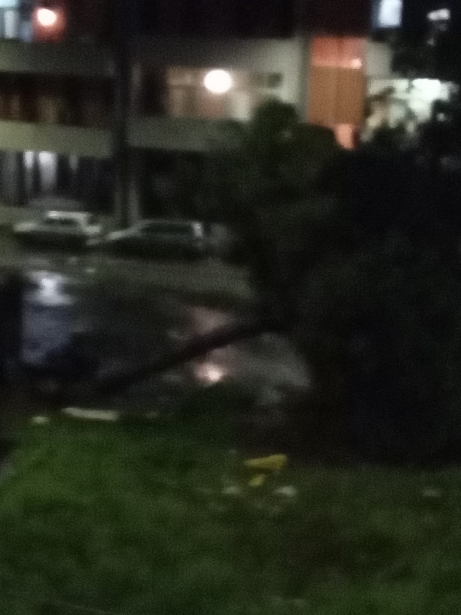 TORNADO A CATANIA, TETTI SCARAVENTATI, ALBERI ABBATTUTI.  LE IMMAGINI