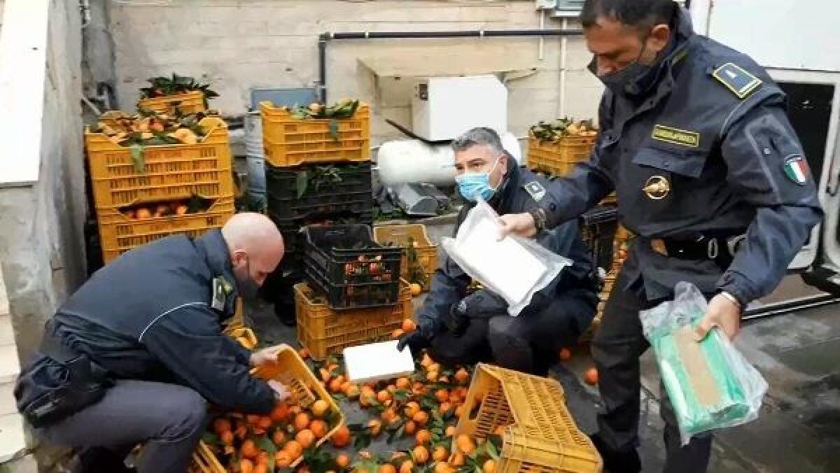 PALERMO, DIECI CHILI DI COCAINA NASCOSTI TRA LE CASSETTE DI MANDARINI - 