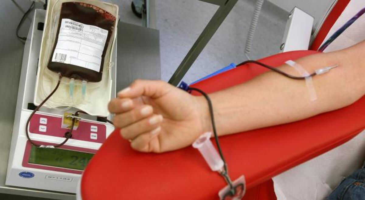 Covid, l'appello del sindaco di Belpasso: «Servono donatori per plasma iperimmune» - 