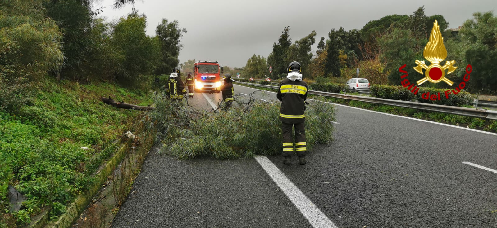 ACIREALE: CADE UN GROSSO ALBERO SU UN’AUTO, SOCCORSE LE TRE PERSONE ALL'INTERNO DAI VIGILI DEL FUOCO