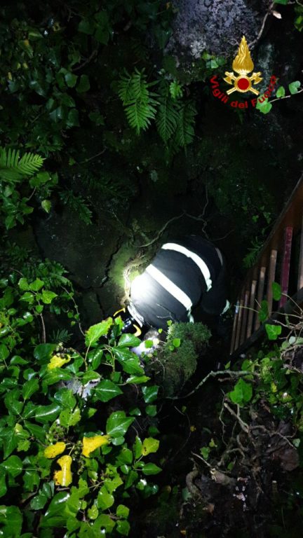 PIANO TAVOLA, VVFF SALVANO UN CANE CADUTO ACCIDENTALMENTE IN UNA GROTTA
