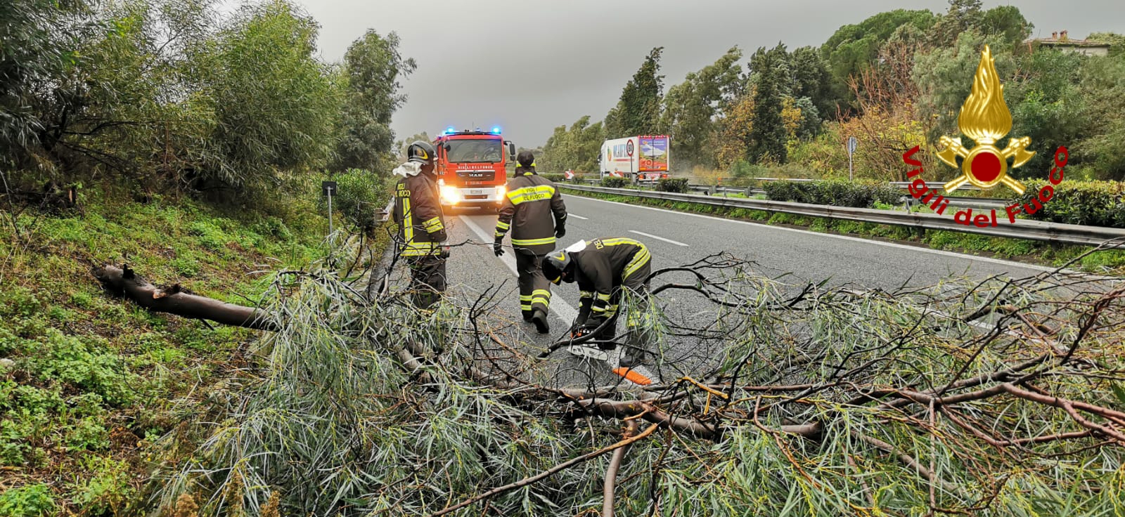 ACIREALE: CADE UN GROSSO ALBERO SU UN’AUTO, SOCCORSE LE TRE PERSONE ALL'INTERNO DAI VIGILI DEL FUOCO