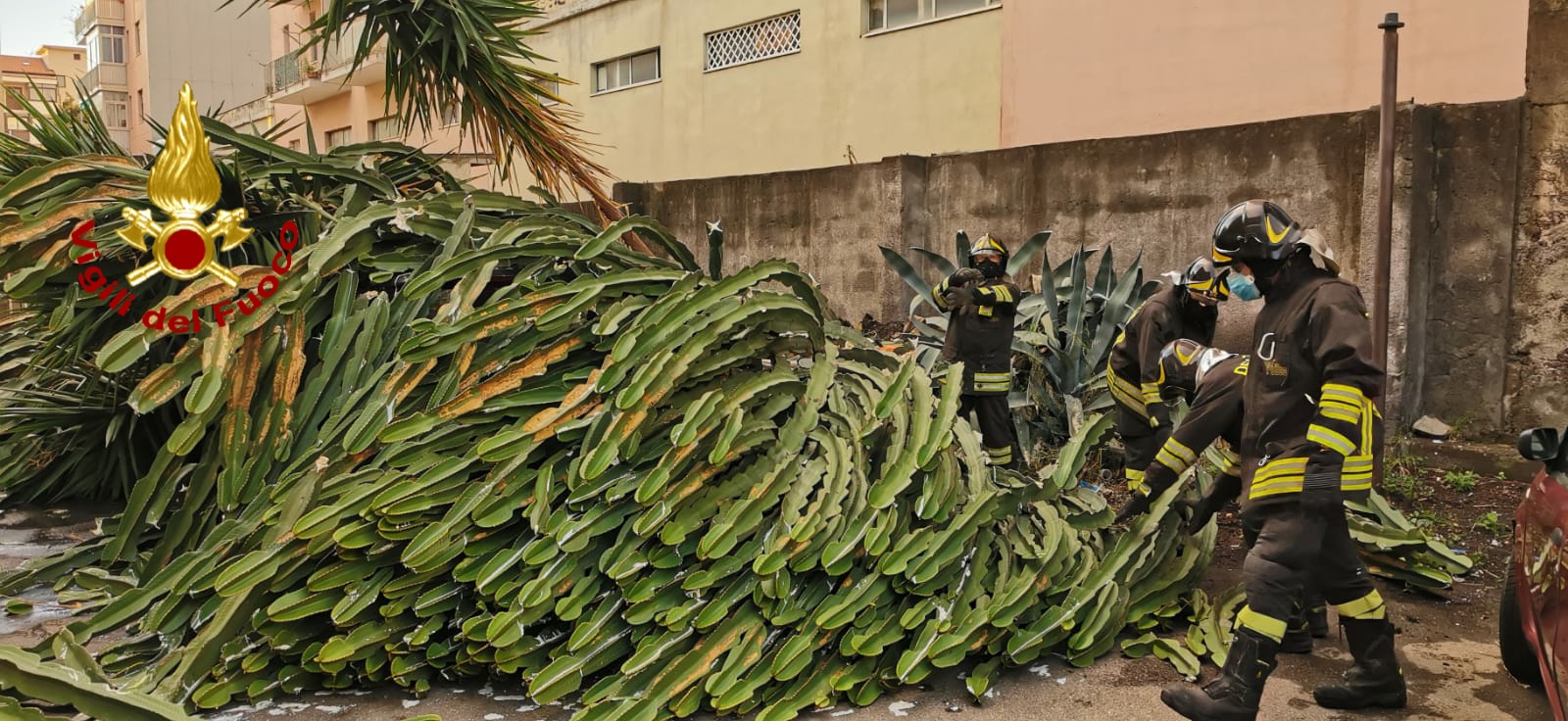 ACIREALE: CADE UN GROSSO ALBERO SU UN’AUTO, SOCCORSE LE TRE PERSONE ALL'INTERNO DAI VIGILI DEL FUOCO