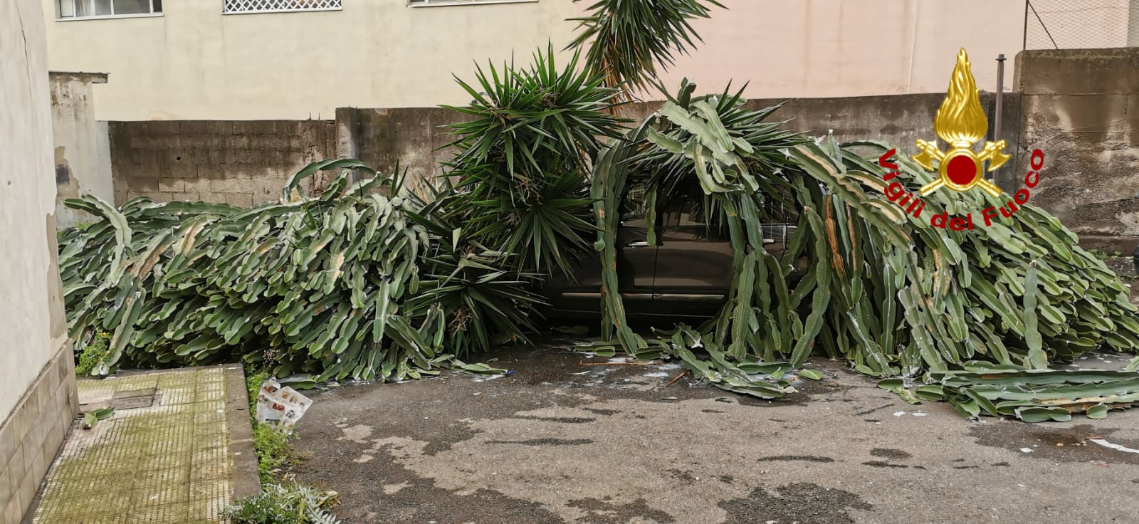 ACIREALE: CADE UN GROSSO ALBERO SU UN’AUTO, SOCCORSE LE TRE PERSONE ALL'INTERNO DAI VIGILI DEL FUOCO