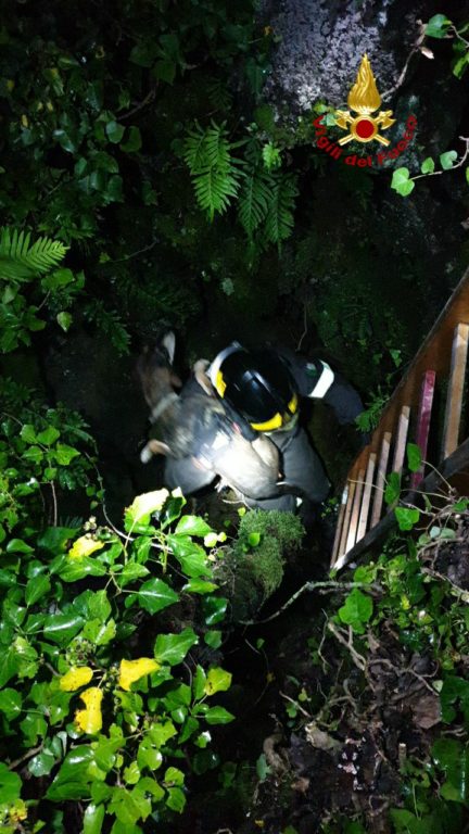 PIANO TAVOLA, VVFF SALVANO UN CANE CADUTO ACCIDENTALMENTE IN UNA GROTTA
