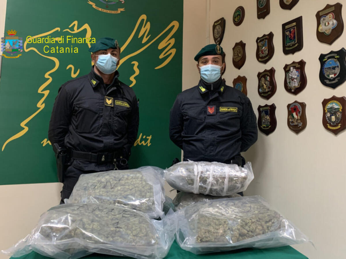 CATANIA: SEQUESTRATI 7 KG DI MARIJUANA AD ALTO POTENZIALE STUPEFACENTE. ARRESTATO 43ENNE DI MOTTA SANT'ANASTASIA - 