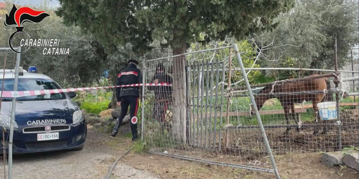 PATERNO': CORSA CLANDESTINA DI CAVALLI, DUE DENUNCIATI - VIDEO - 