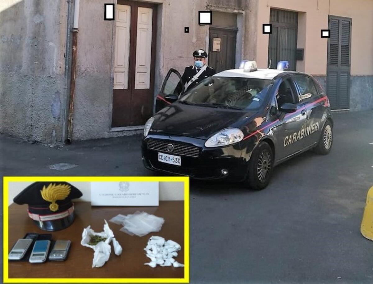 Aci Catena, il cane “Zero” fiuta la cocaina, arrestato 28enne - 