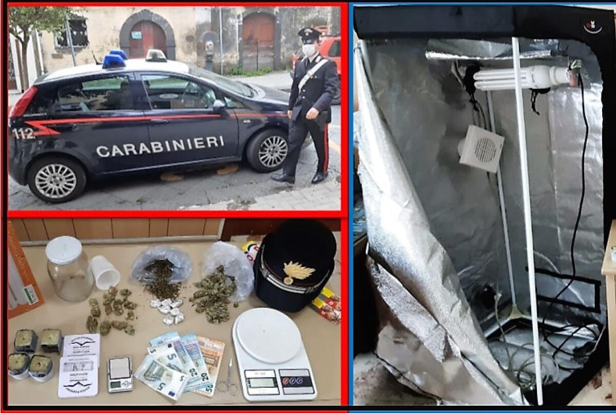 ACI SANT’ANTONIO, NASCONDEVA LA MARIJUANA NEL FORNO A LEGNA: ARRESTATO - 
