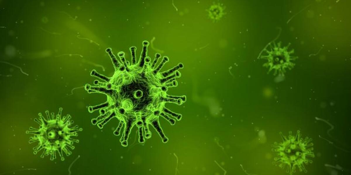 CORONAVIRUS: 4 PAZIENTI CON VARIANTE INGLESE IN OSPEDALE A CATANIA - 