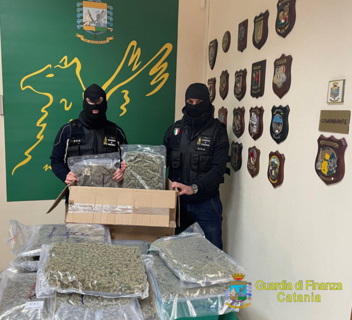 SEQUESTRATI 14 KG DI MARIJUANA AD ALTO POTENZIALE STUPEFACENTE. ARRESTATO CORRIERE ORIGINARIO DI PATERNO’. - 