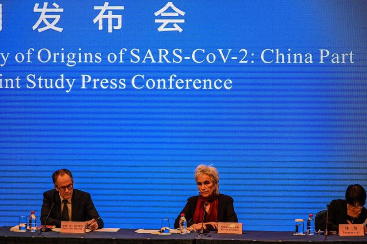 L’OMS: «IL COVID HA ORIGINE ANIMALE, NON PROVIENE DAL LABORATORIO DI WUHAN» - 
