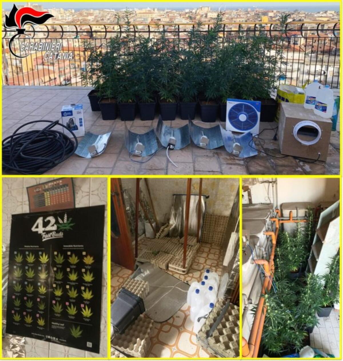 CATANIA. NON RIESCE AD ENTRARE IN CASA: CARABINIERI E VV.FF SCOPRONO UNA COLTIVAZIONE DI DROGA NELLA SUA ABITAZIONE - 