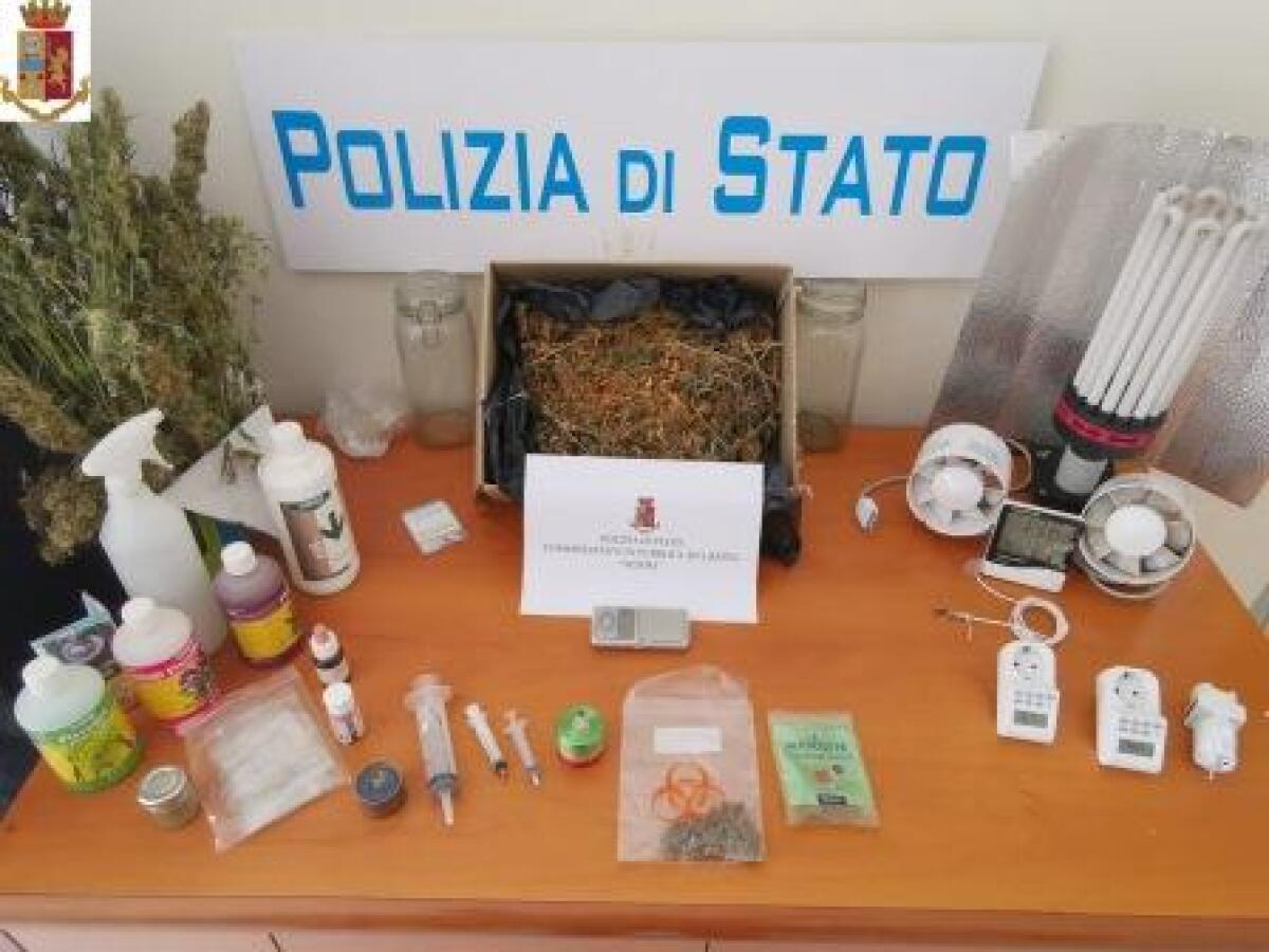 CATANIA: SCOPERTA UNA COLTIVAZIONE DI MARIJUANA, ARRESTATO - 