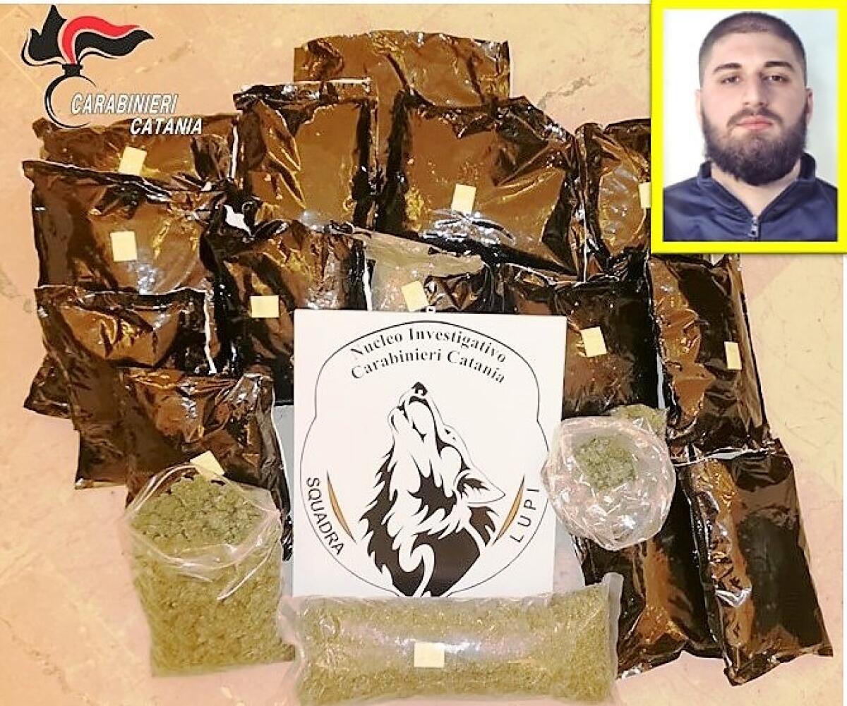 CATANIA, BLITZ ANTIDROGA DEI “LUPI”: SEQUESTRATI 11 KG DI MARIJUANA - 