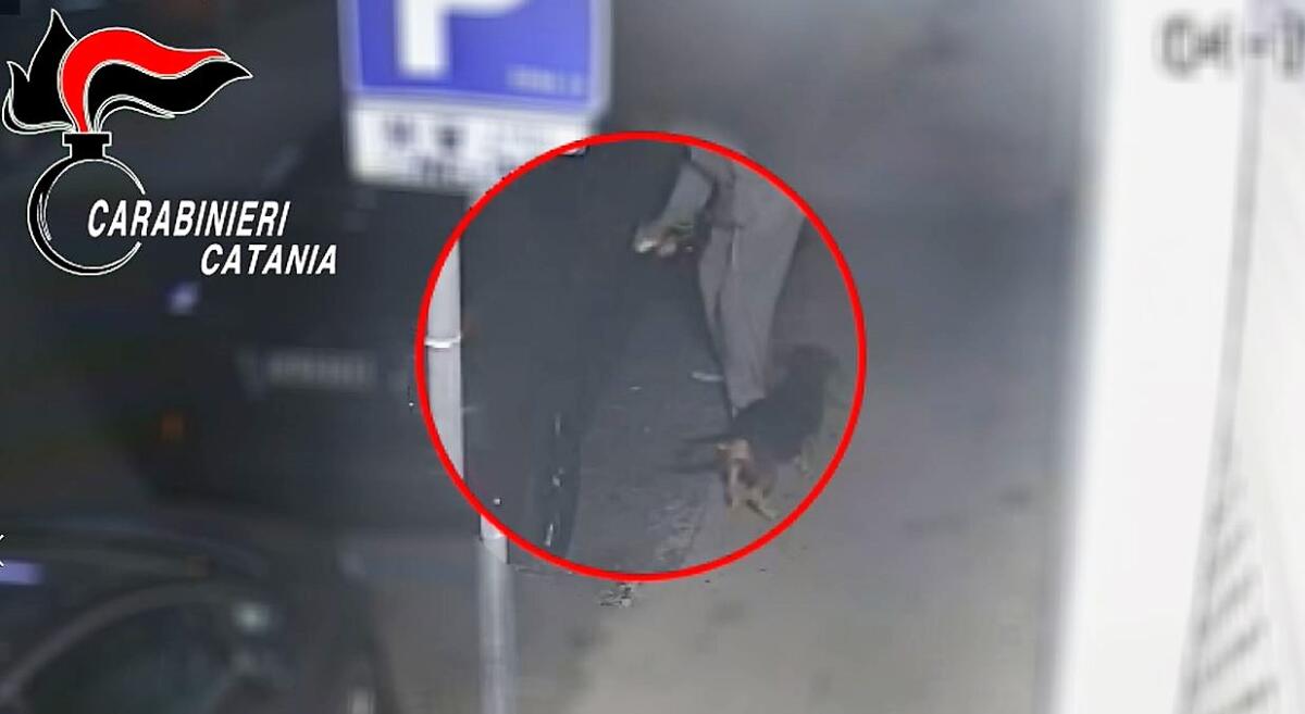 CATANIA: DENUNCIATO DANNEGGIATORE SERIALE DI AUTO - 