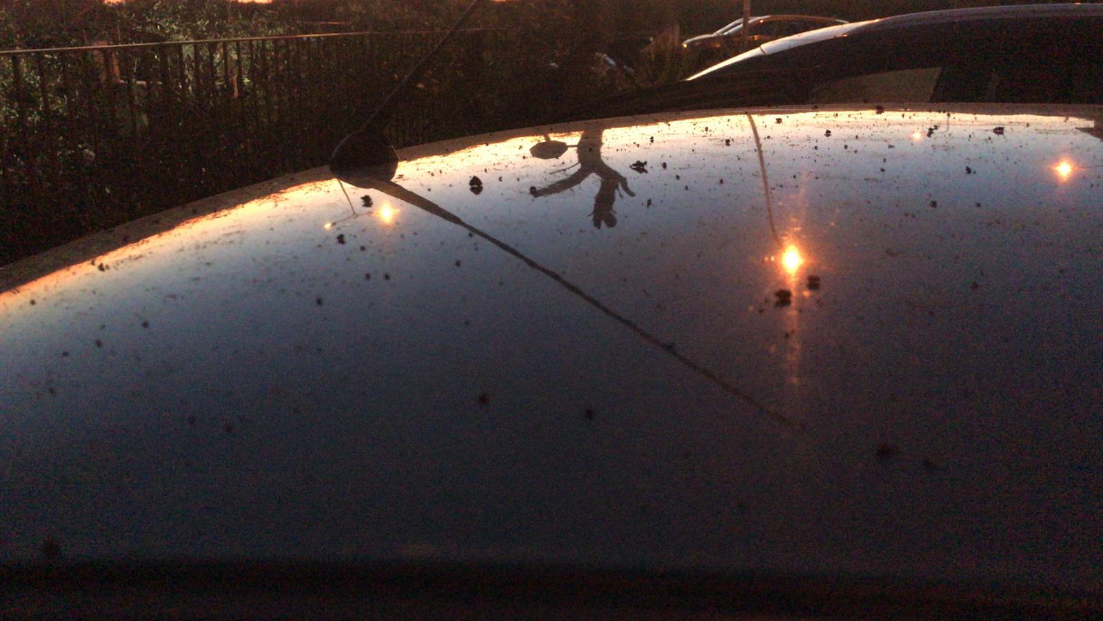 ETNA. L'INGV: "FINE DEL FENOMENO DI FONTANA DI LAVA, TREMORE VULCANICO IN DECREMENTO"