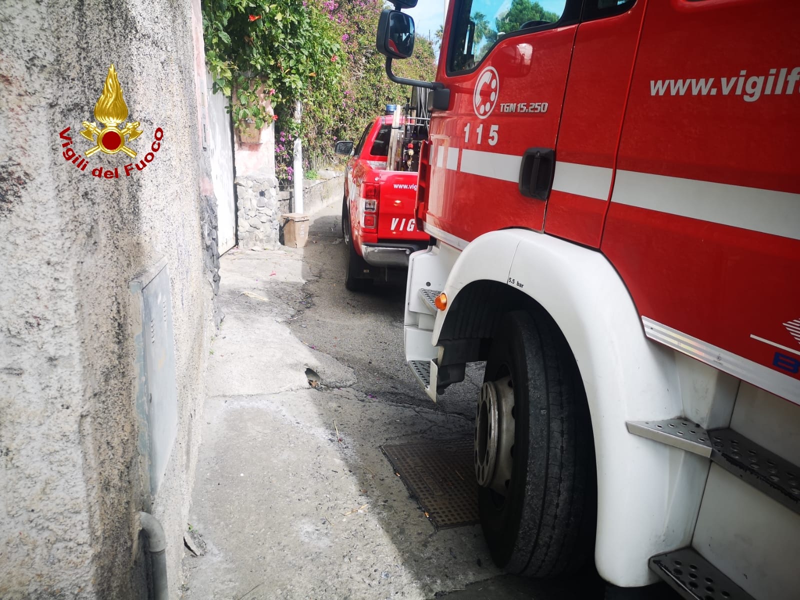 ACI CASTELLO, DIVAMPA INCENDIO IN UN TERRENO: MUORE UN CANE RIMASTO LEGATO ALLA CATENA