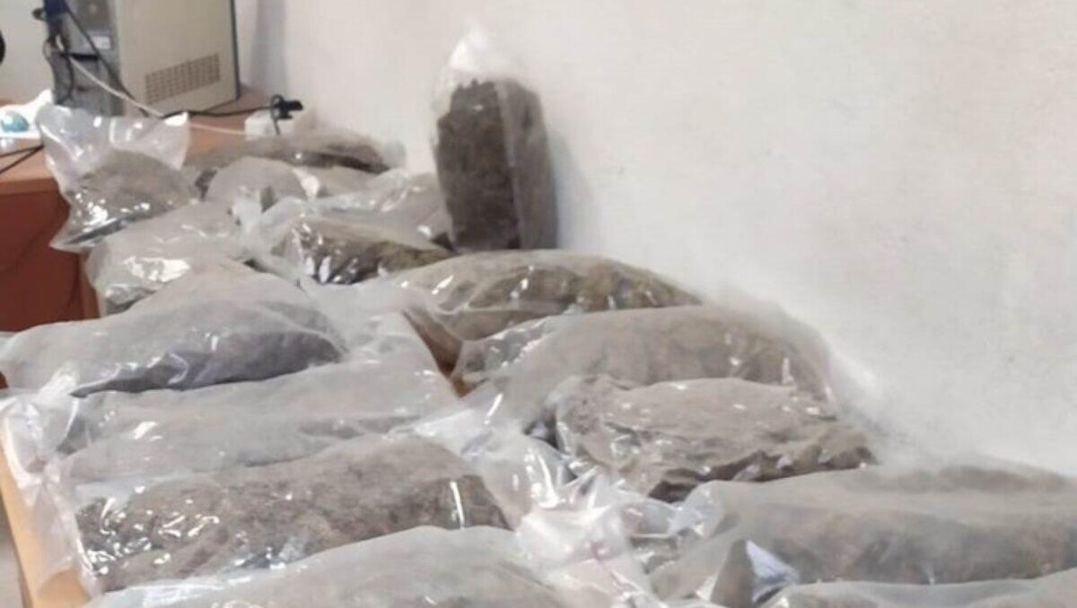 CATANIA, TROVATI 10 CHILI DI MARIJUANA IN UNA CANTINA - 