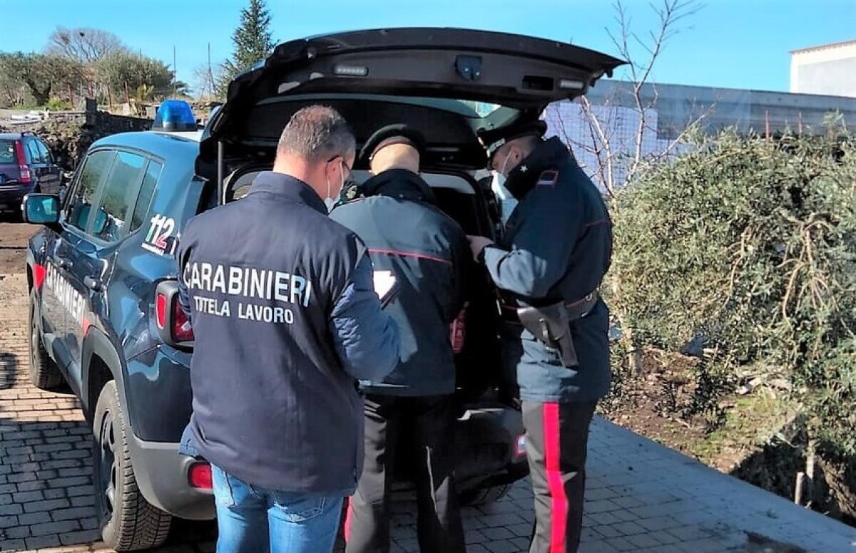 DENUNCIATA TITOLARE AZIENDA AGRICOLA PATERNESE - 