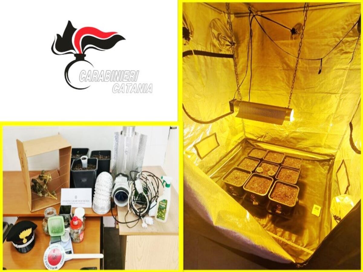 AVEVA ALLESTITO UNA SERRA PER USO “PERSONALE”: ARRESTATO SPACCIATORE AD ACI CASTELLO - 