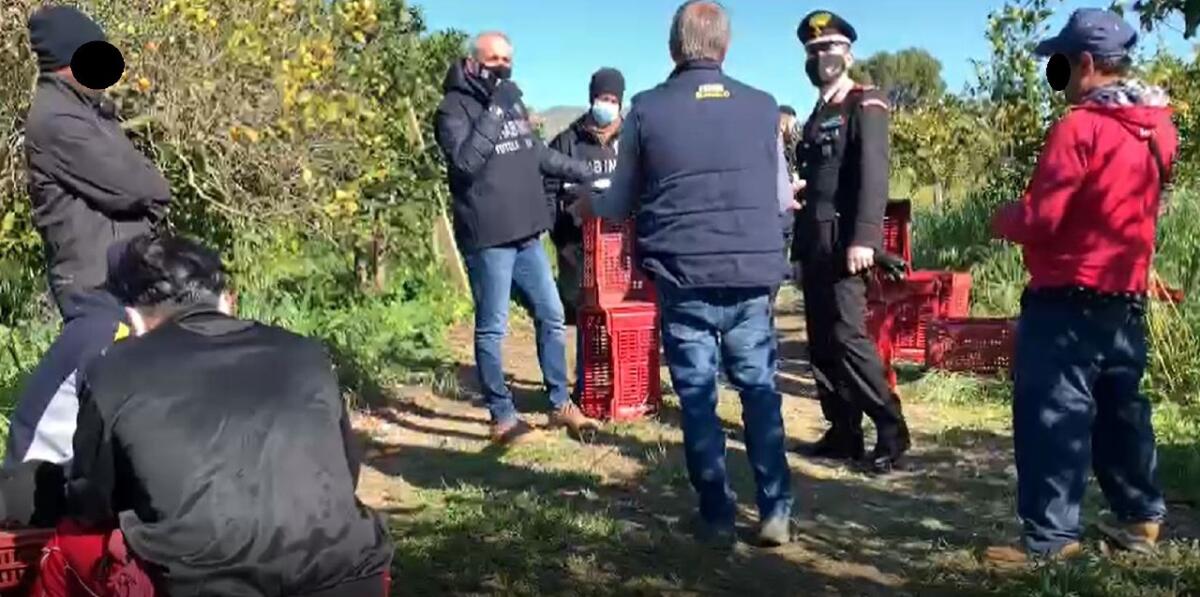 GRAMMICHELE. BRACCIANTI STRANIERI SFRUTTATI: MAXI SANZIONE AL TITOLARE DELL’AZIENDA - 