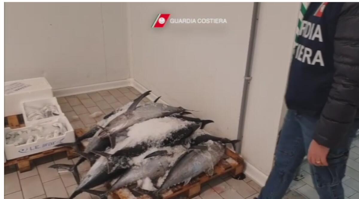 VENDEVANO PESCE IN UN RIFORNIMENTO DELLA TANGENZIALE DI CATANIA, SANZIONATI - 