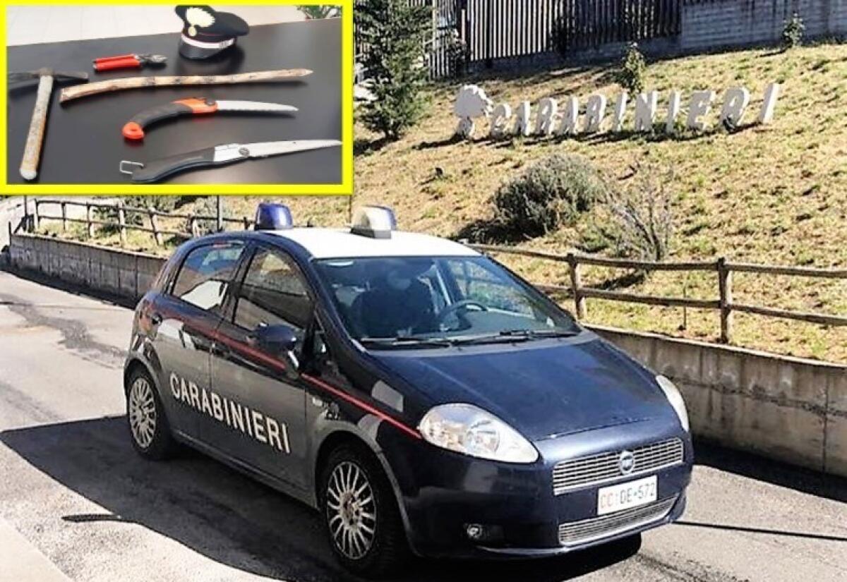 BRONTE . BECCATI IN PIENO COPRIFUOCO CON GLI ATTREZZI DA “LAVORO” - 