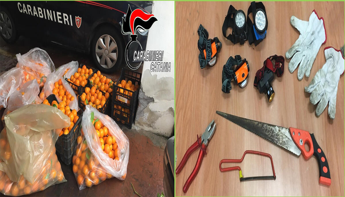 FURTI NELLE AREE RURALI: DENUNCIATI DUE PATERNESI. RECUPERATO MEZZO QUINTALE DI ARANCE - 