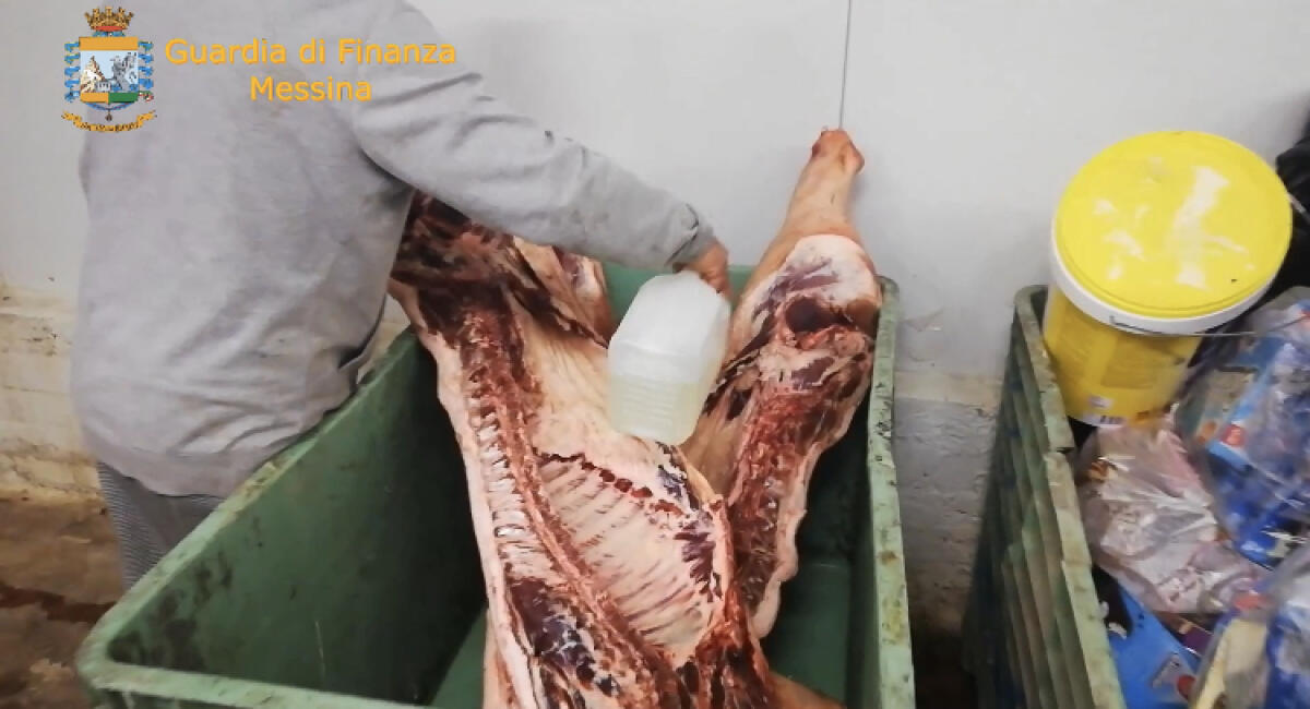 SEQUESTRATI NEL MESSINESE MACELLO E ALLEVAMENTO CLANDESTINI, SEQUESTRATI 236 CAPI E DENUNCIATI DUE ALLEVATORI - 