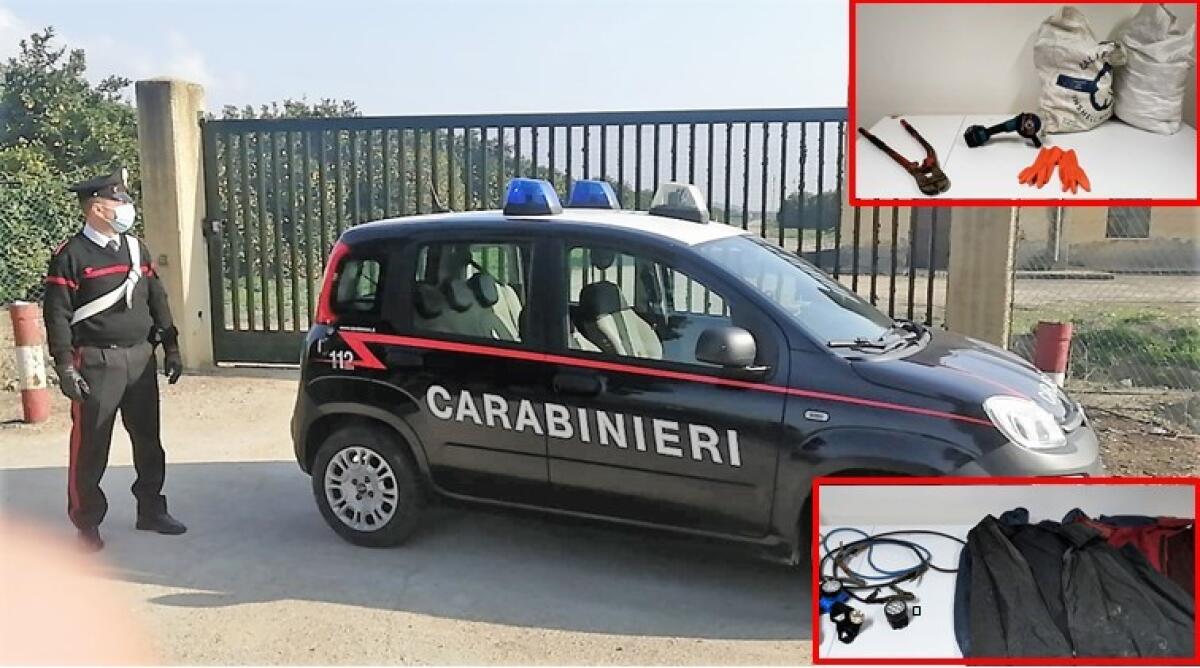 MINEO. DENUNCIATI DUE CATANESI IN TRASFERTA, ERANO PRONTI A RAZZIARE UN AGRUMETO - 