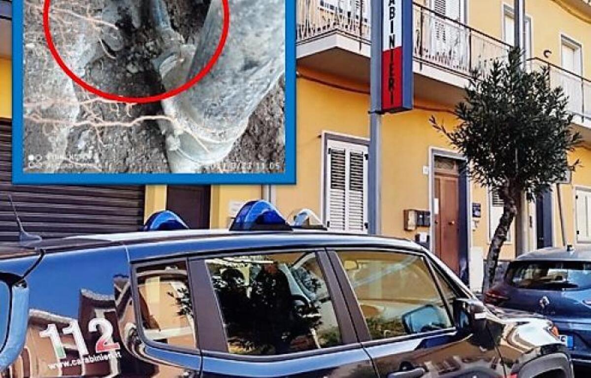 PEDARA: PARRUCCHIERE ARRESTATO PER UN ALLACCIO ABUSIVO ALLA RETE IDRICA - 