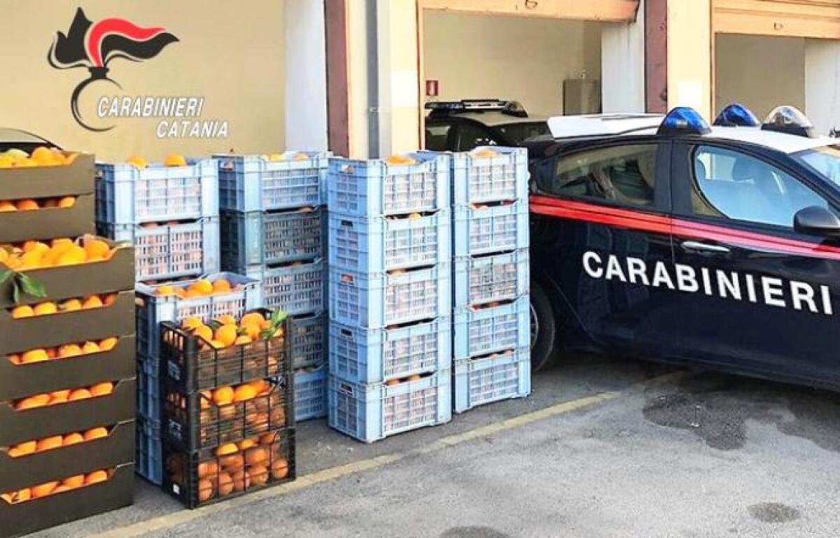 PATERNÒ, SI LANCIANO DALL'AUTO IN CORSA CARICA DI ARANCE RUBATE - 