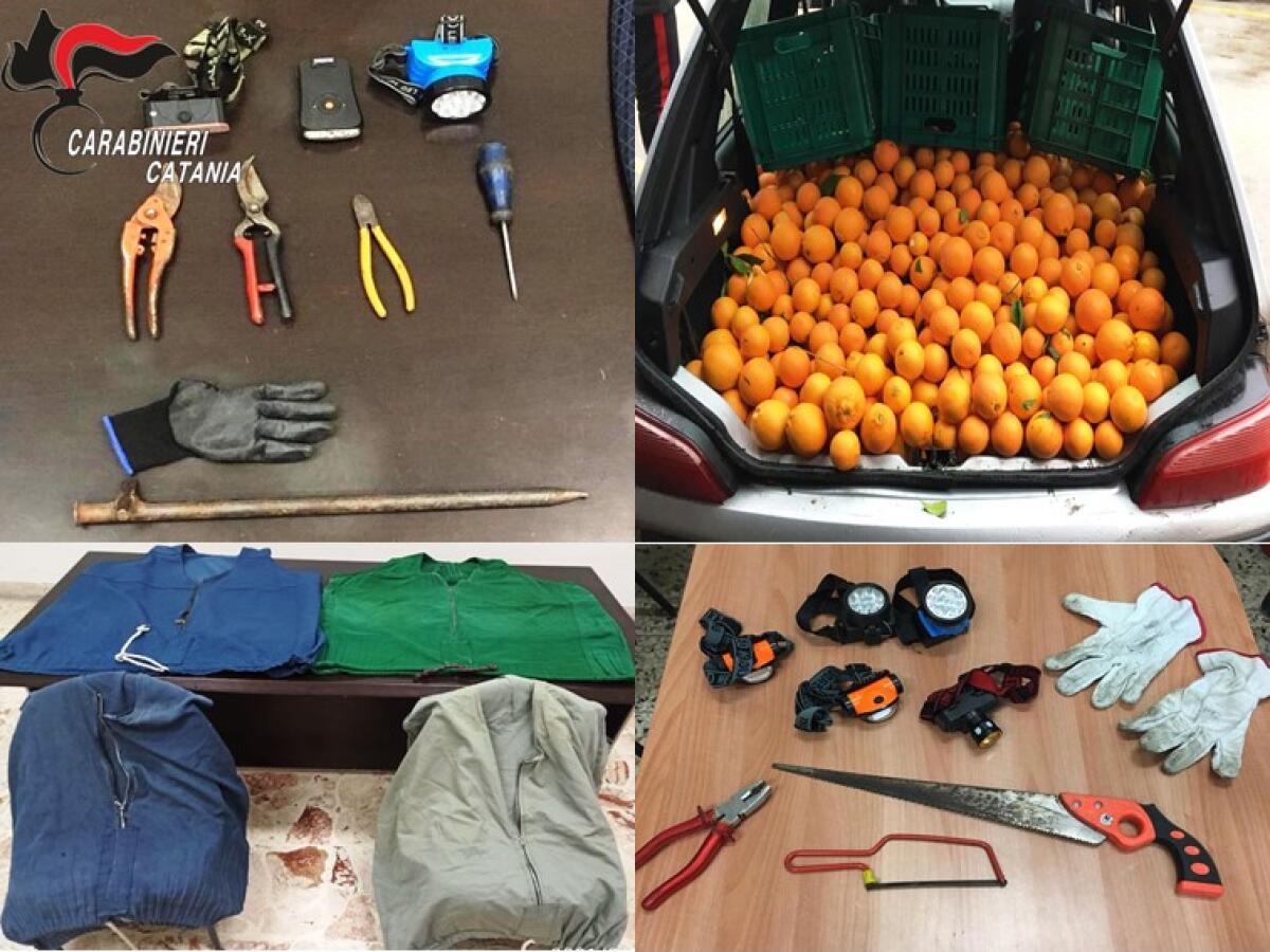 PATERNÒ, PIANO DI CONTROLLO CONTRO LE RAZZIE NELLE AREE RURALI: 11 DENUNCIATI - 